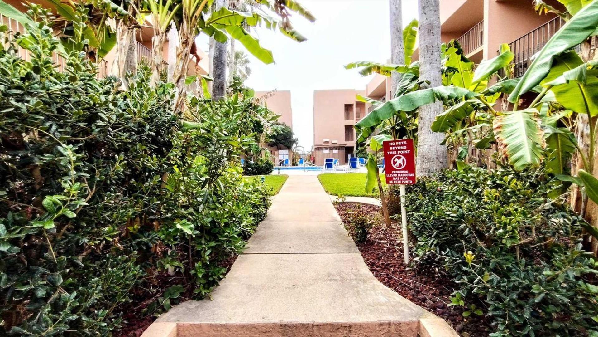 Beachview 206 Condominium Condo South Padre Island Exterior photo